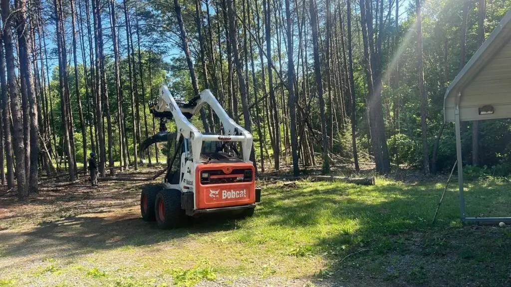 Skid steer clearing a lot in the pines