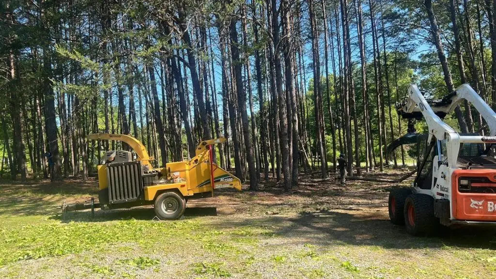 Chipper and skid steer on a land-clearing job in the pines