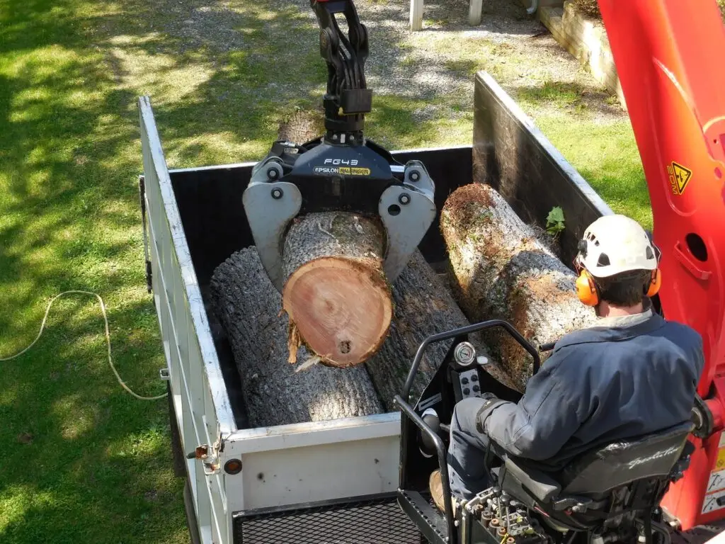 Grapple loading cut logs into the truck, seen from above