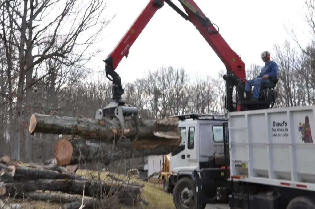 Grapple truck loading a cut log onto the David's Tree Service dump truck