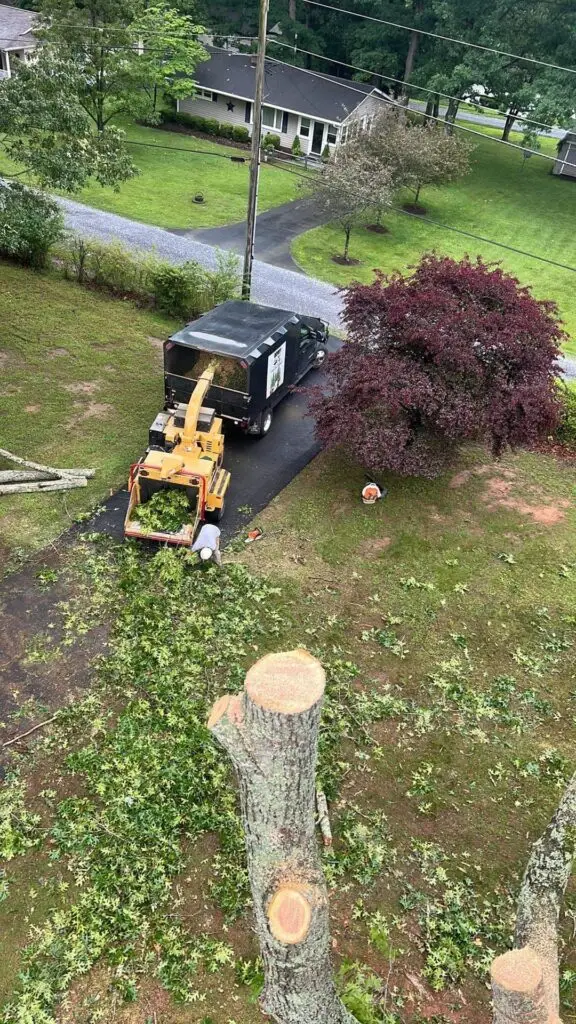 Stump grinder at work in a residential yard