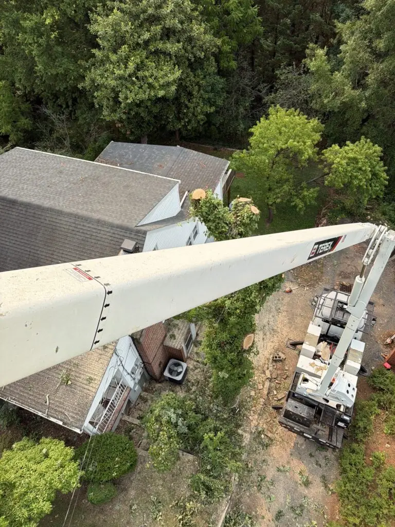 View from the bucket over a house during a removal