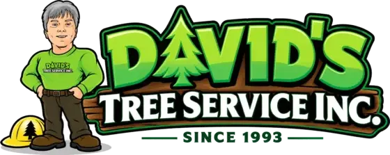 David's Tree Service, Inc. — Lynch Station, Virginia, since 1993