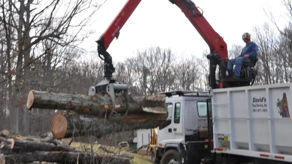 Grapple truck loading a cut log onto the David's Tree Service dump truck
