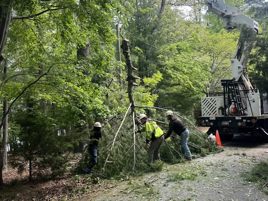 Crew clearing a felled tree from a driveway