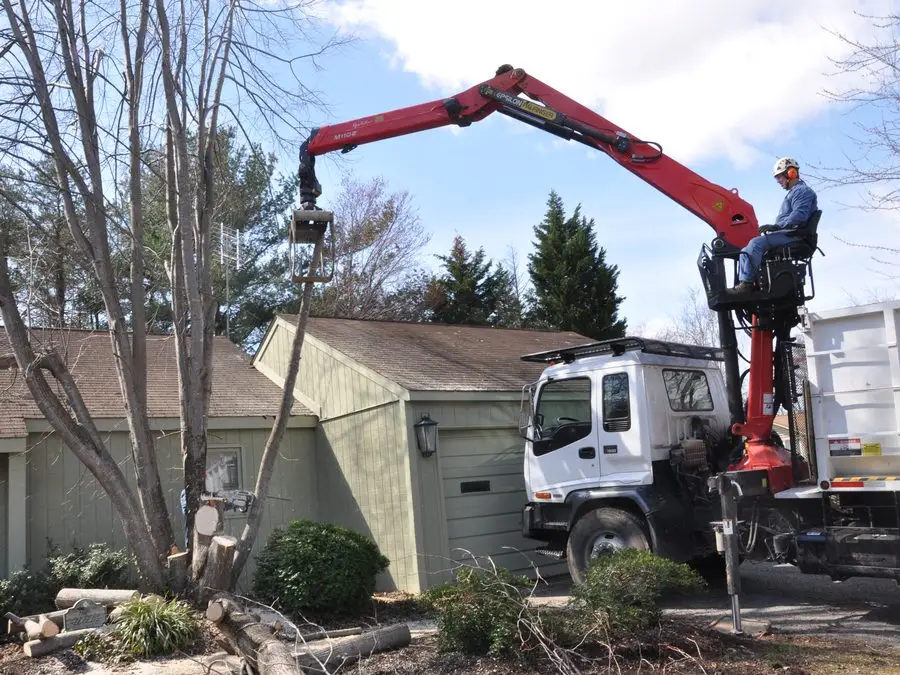 Knuckle-boom grapple truck clearing a felled tree beside a house