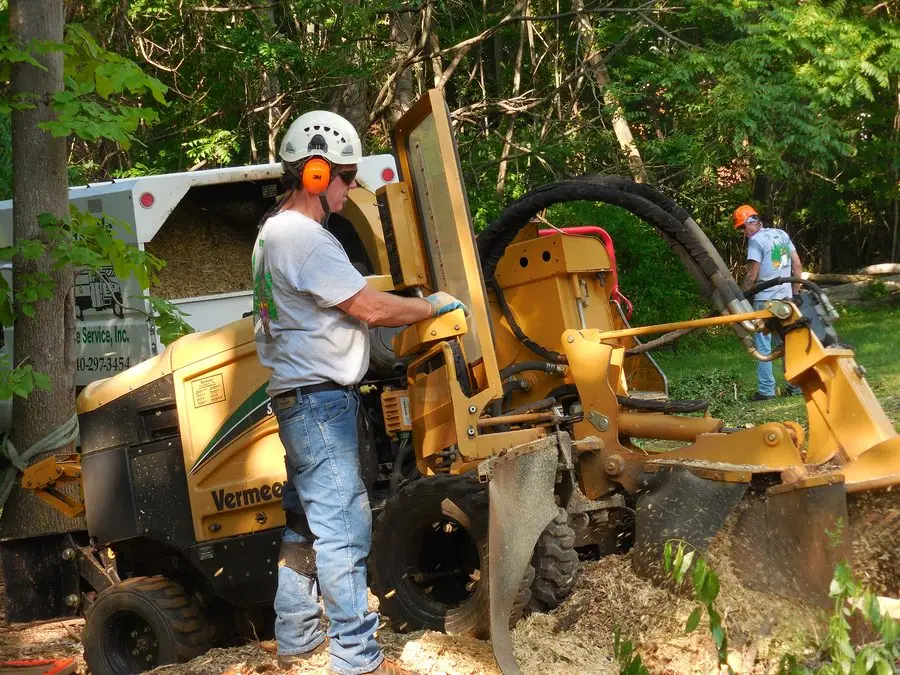 Crew member running the stump grinder