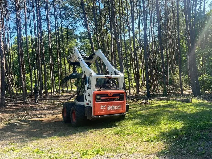 Skid steer clearing a lot in the pines