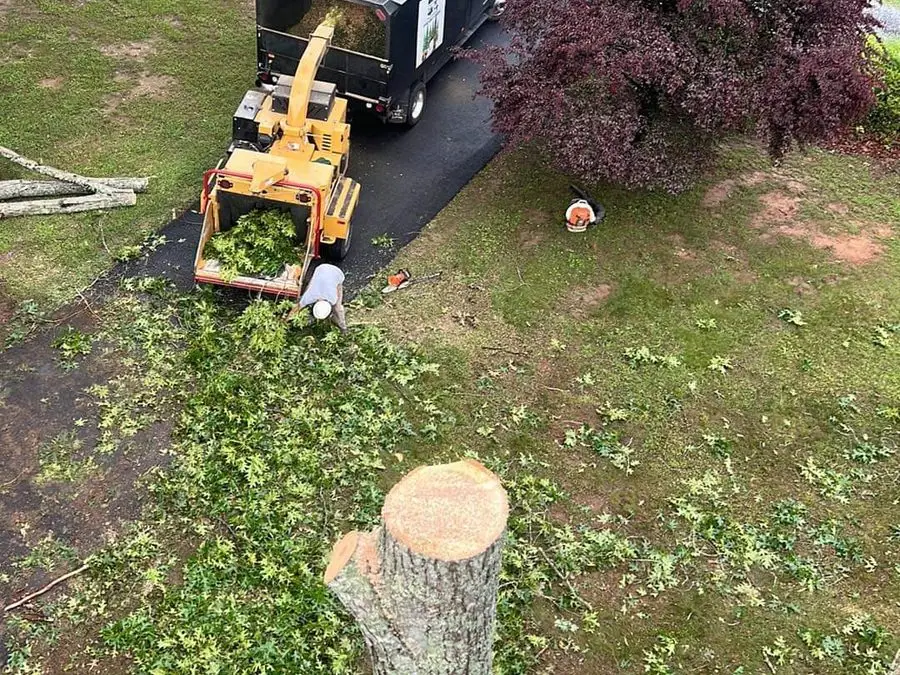 Stump grinder at work in a residential yard