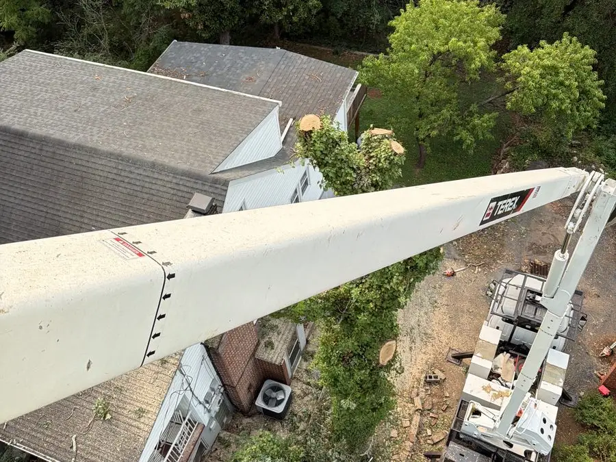 View from the bucket over a house during a removal